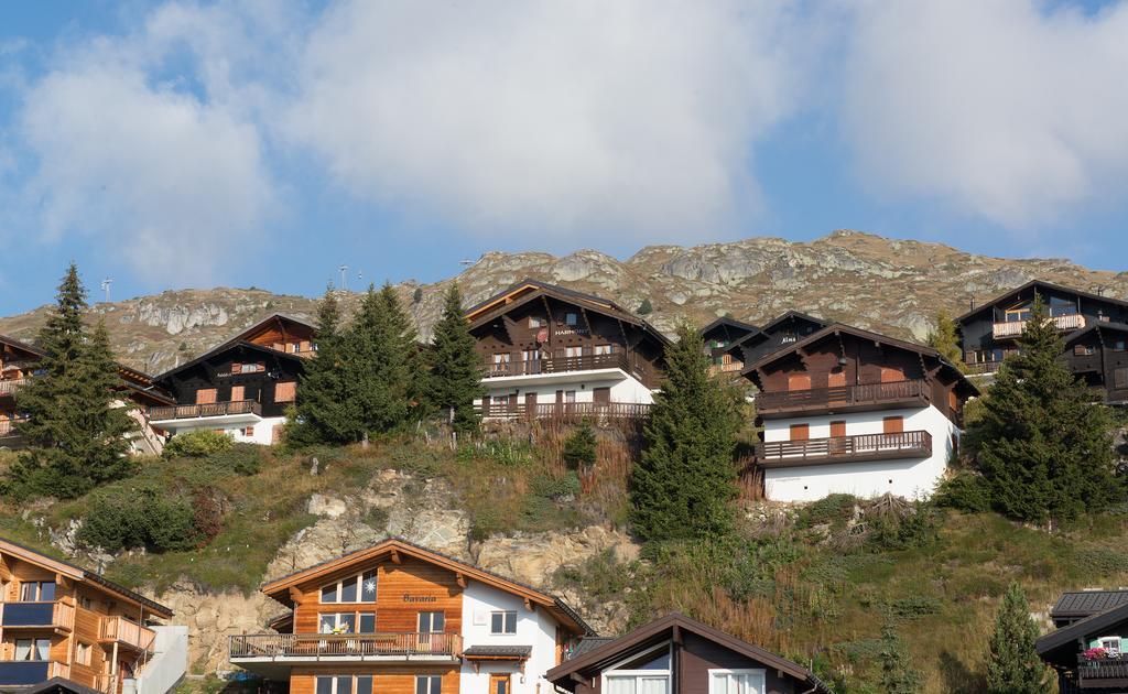 Harmony Eg Sued-Ost Lägenhet Bettmeralp Exteriör bild